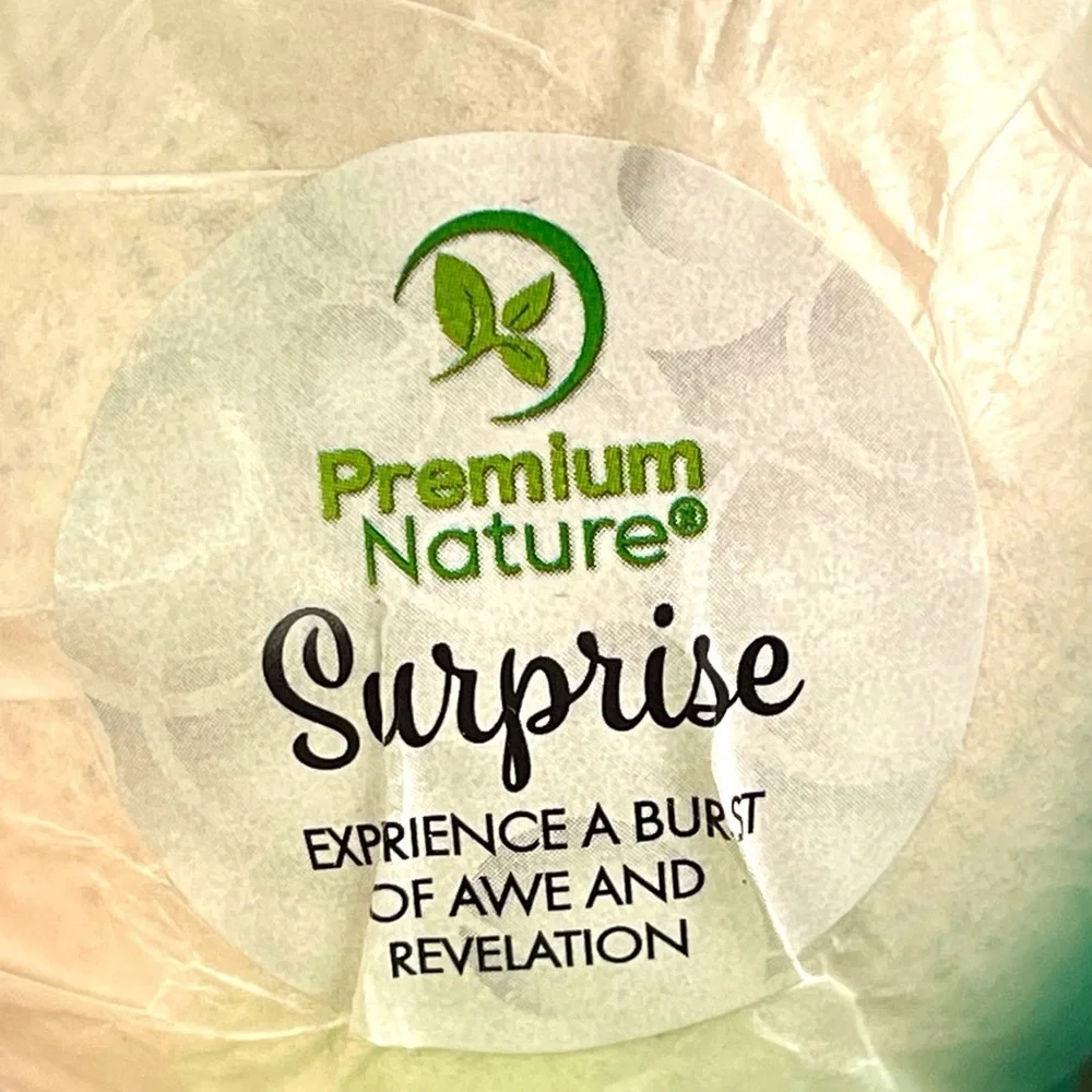 Premium Nature 6 Big Bath Bombs Toy Surprise All Natural Burst of Nature